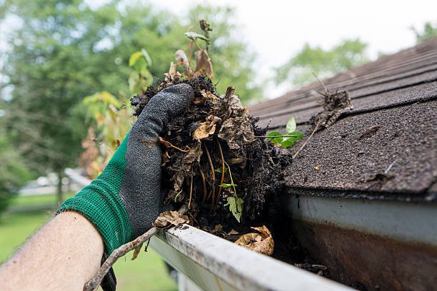 Gutter Cleaning in Australia