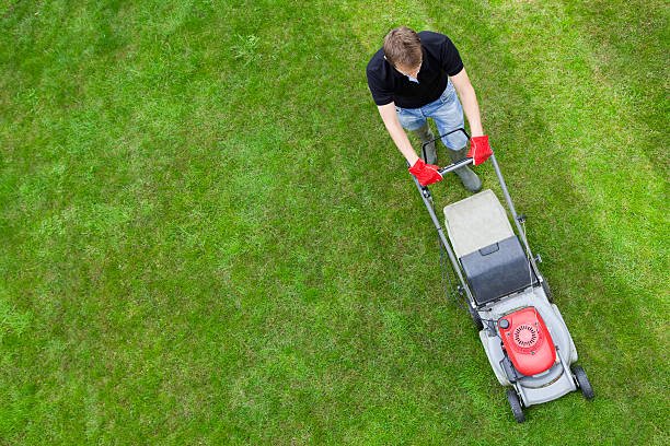 Lawn Moving Services in Australia