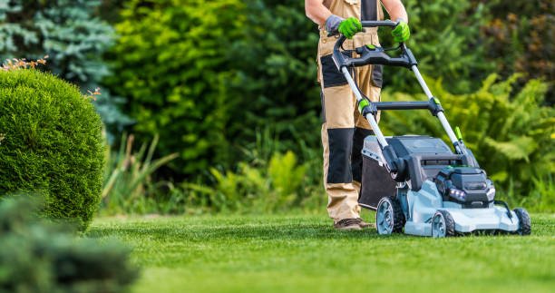 Lawn Moving Services in Australia