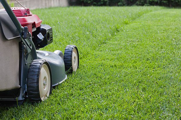 Lawn Moving Services in Australia