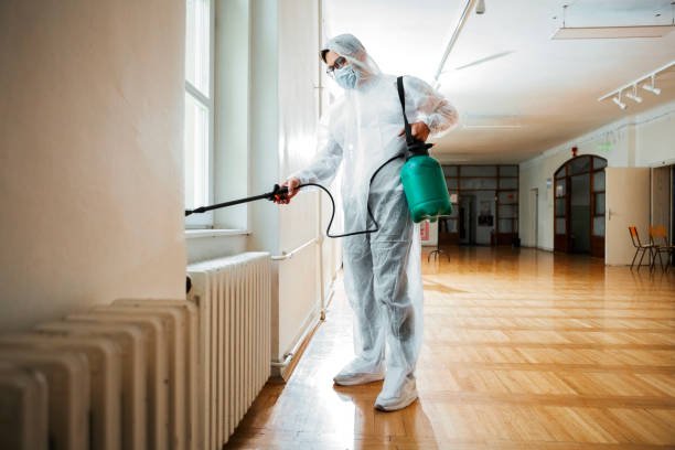Pest Control Services In Australia