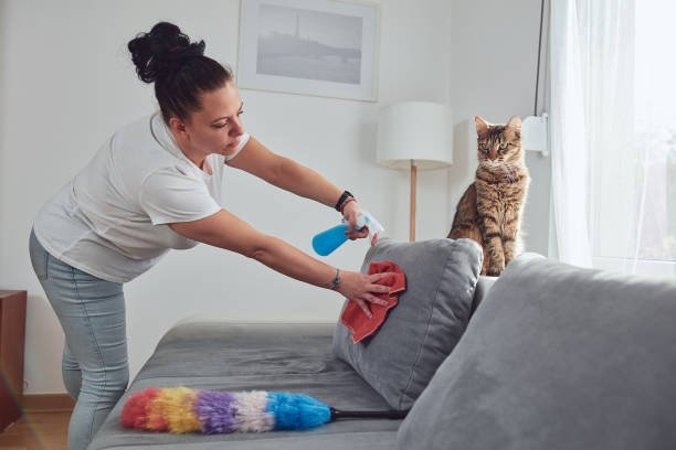 Sofa Cleaning Services in Australia