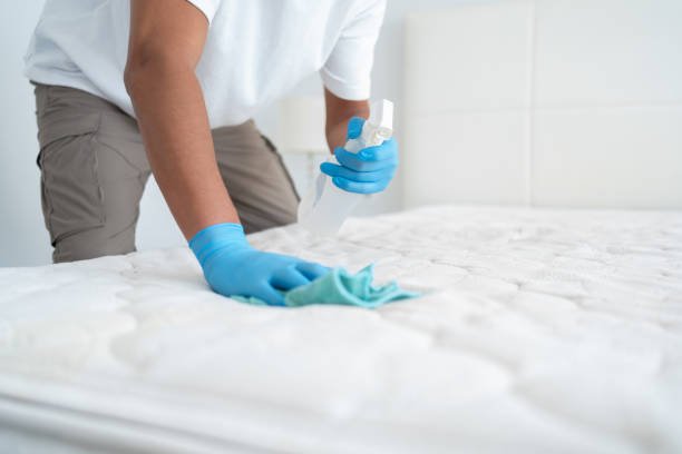 Upholstery Cleaning services in Australia