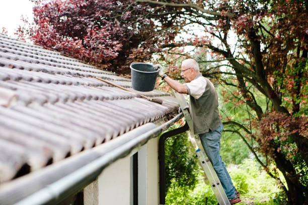 Roof Cleaning Sydney