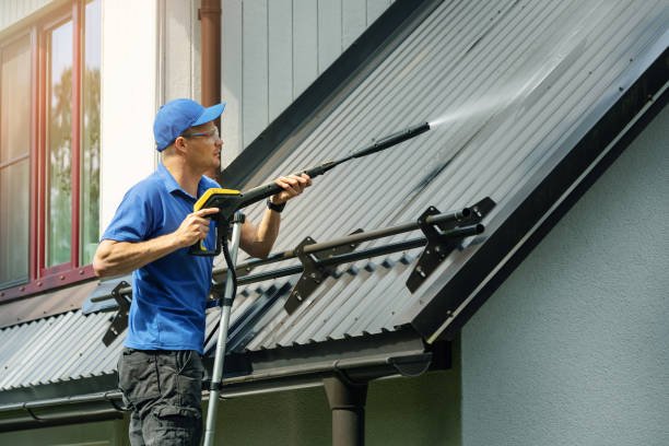 Roof Cleaning Sydney