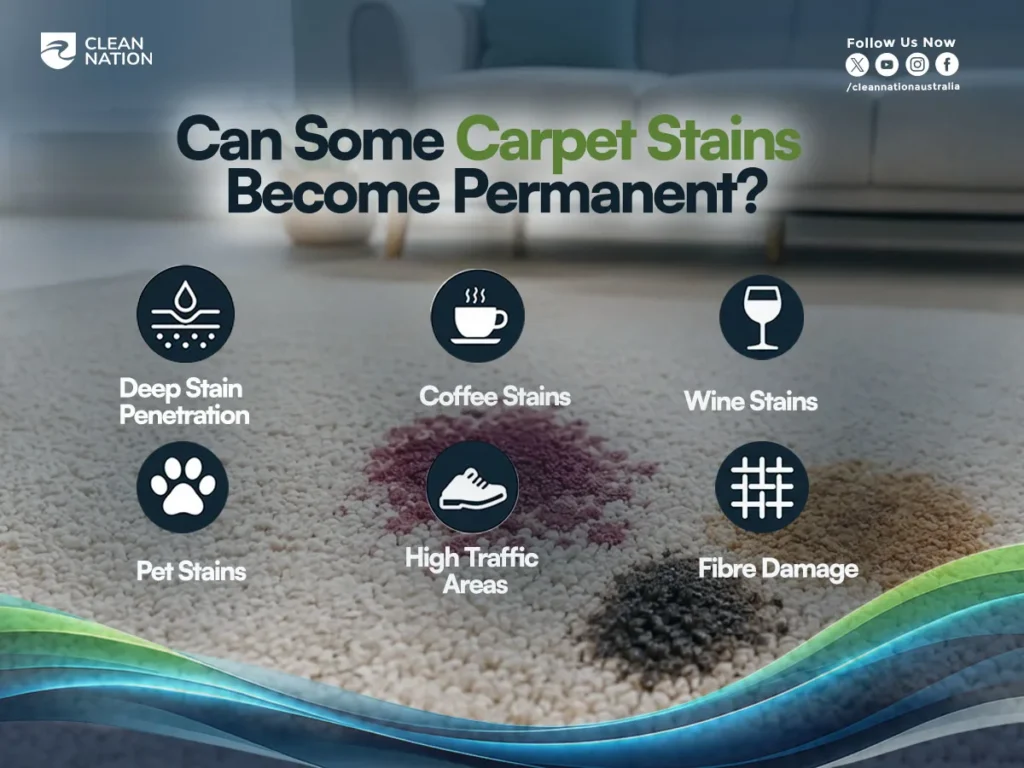 Common permanent carpet stains including wine, coffee, pet stains, and heavy traffic marks on residential carpet, highlighting causes of long-term carpet discolouration and fibre damage.