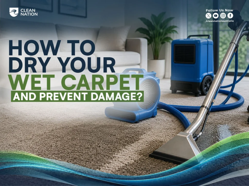How To Dry Your Wet Carpet And Prevent Damage?