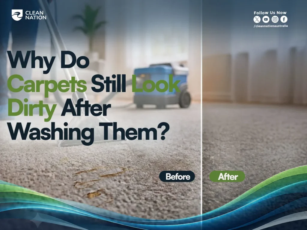 Professional carpet cleaning before and after comparison showing stain removal and cleaner carpet results in an Australian home by Clean Nation.Why Do Carpets Still Look Dirty After Washing Them?