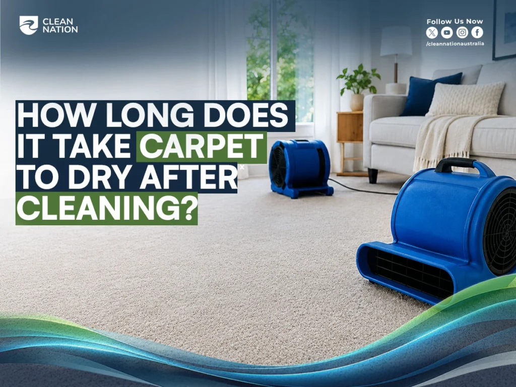 How Long Does it Take Carpet to Dry After Cleaning?