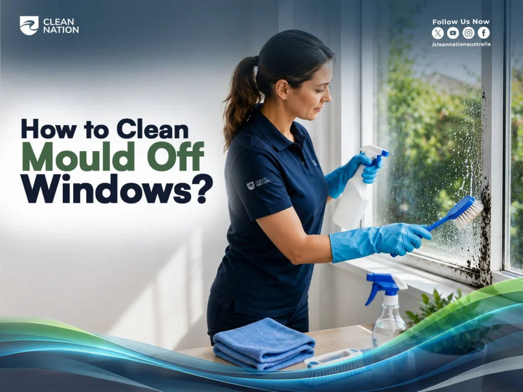 How to Clean Mould Off Windows?