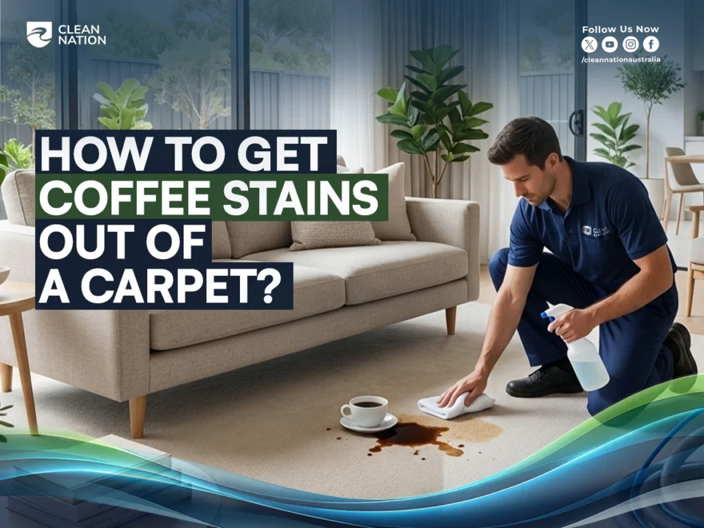 How to Get Coffee Stains Out of a Carpet?