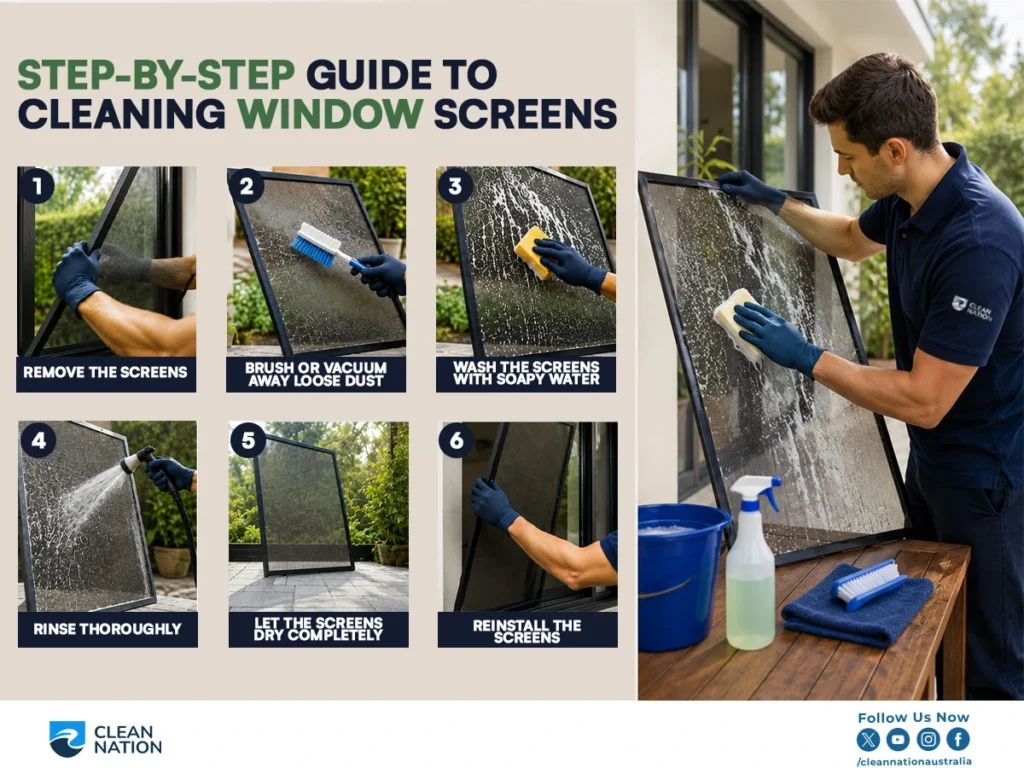How Do You Clean Window Screens? This step-by-step infographic demonstrates the complete window screen cleaning process, including removing the screens, brushing away loose dust, washing with soapy water, rinsing thoroughly, allowing the screens to dry completely, and reinstalling them, while a professional cleaner cleans a window screen outdoors.