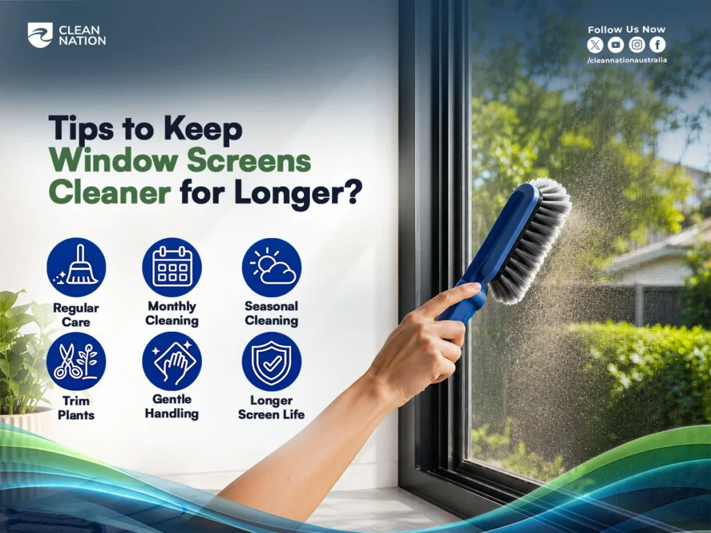 How Do You Clean Window Screens? This infographic shows a hand using a soft brush to clean a window screen while highlighting practical maintenance tips such as regular care, monthly and seasonal cleaning, trimming nearby plants, gentle handling, and proper upkeep to keep window screens cleaner for longer and extend their lifespan.