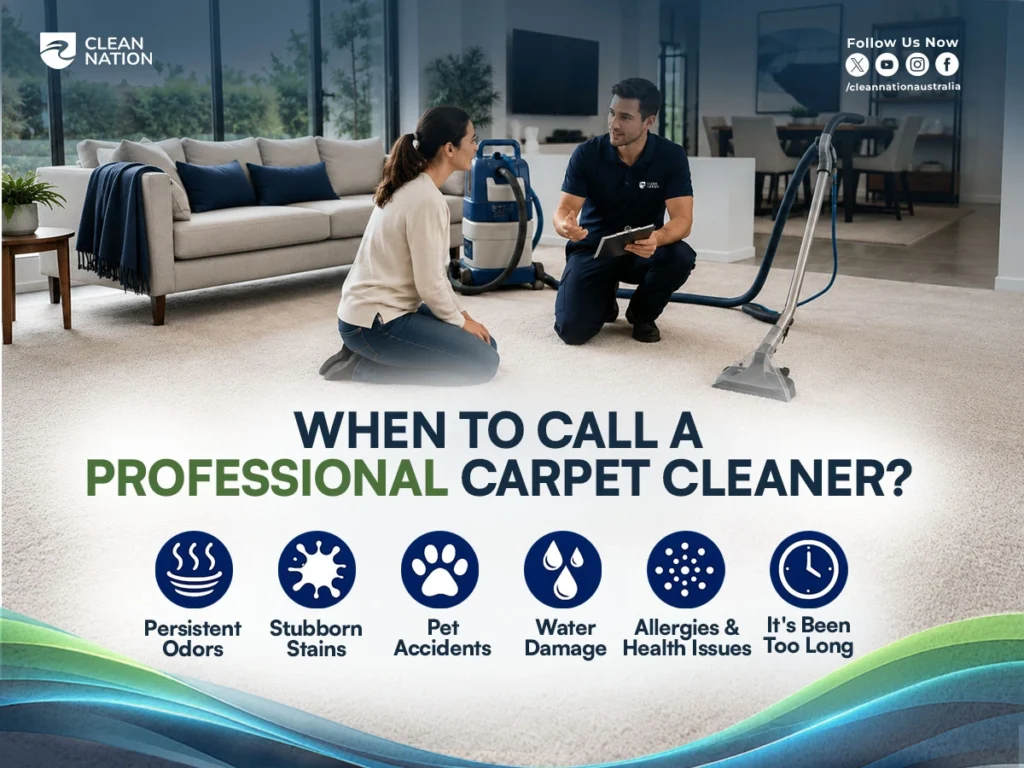 A professional carpet cleaner inspecting a living room carpet, showing that while you can learn how to disinfect carpets without a steam cleaner, some stubborn stains, pet accidents, water damage, and persistent odours require expert cleaning.