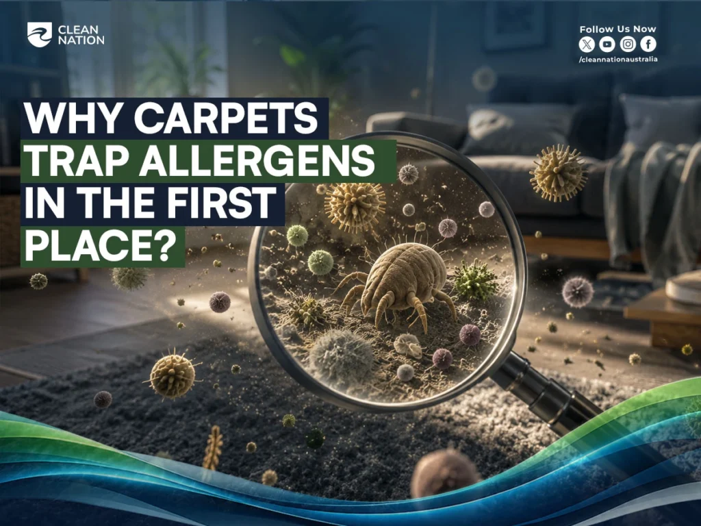 How Does Carpet Cleaning Reduce Allergies? Illustration showing dust mites and airborne allergens trapped deep within carpet fibres under a magnifying glass, highlighting why regular carpet cleaning helps improve indoor air quality.