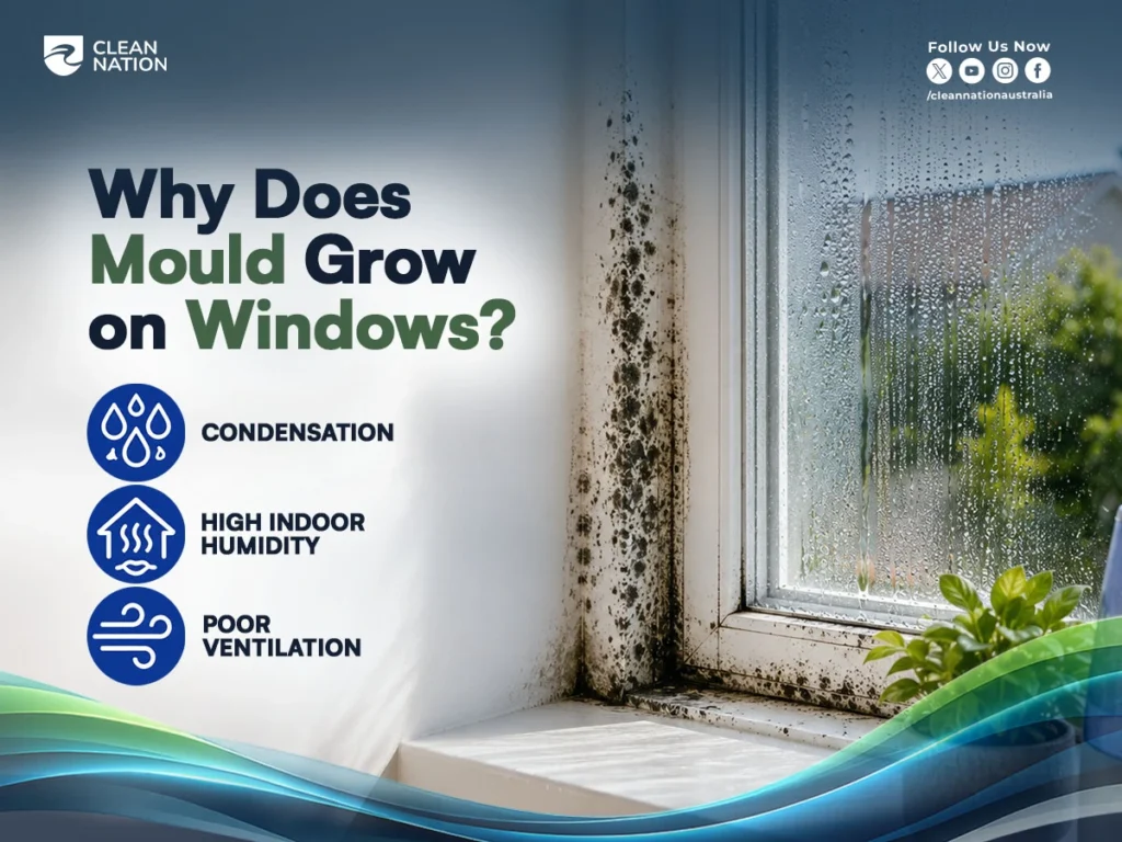 A window frame with visible black mould and condensation highlights the effects of high indoor humidity and poor ventilation, explaining common causes and supporting How to Clean Mould Off Windows? safely and effectively.
