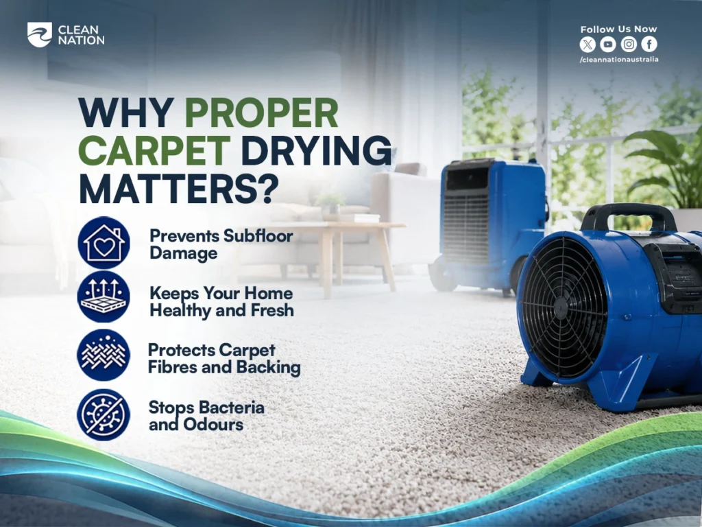 Professional carpet drying equipment placed on a freshly cleaned carpet in a bright living room, highlighting why proper drying prevents subfloor damage, protects carpet fibres, and keeps the home fresh. This image explains How Long Does it Take Carpet to Dry After Cleaning? and why thorough drying is essential to prevent bacteria, odours, and long-term carpet damage.
