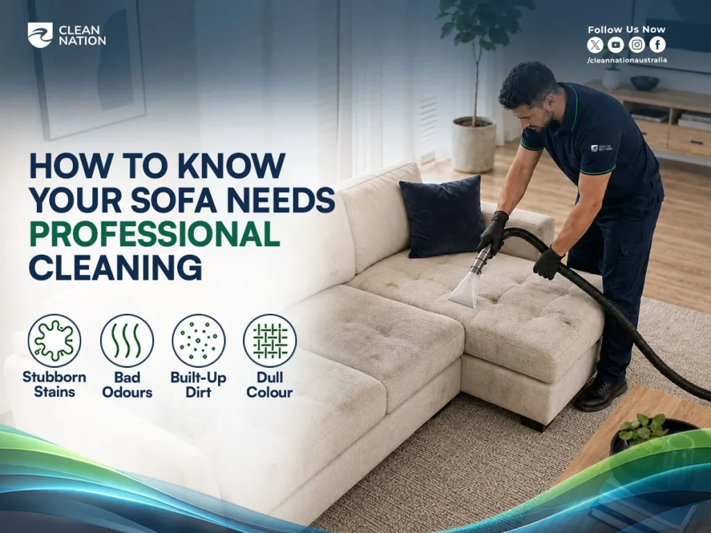 Professional sofa cleaner removing stains, dirt, odors, and dullness from a fabric sofa using professional cleaning equipment.