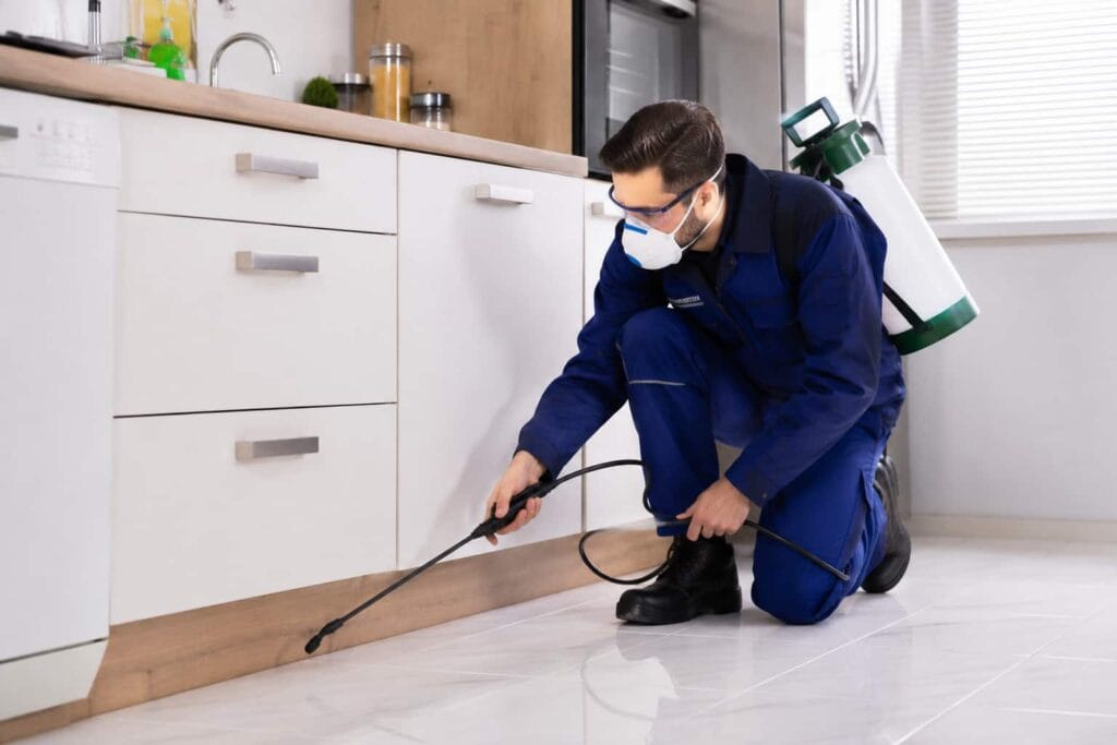 Pest Control Services Perth